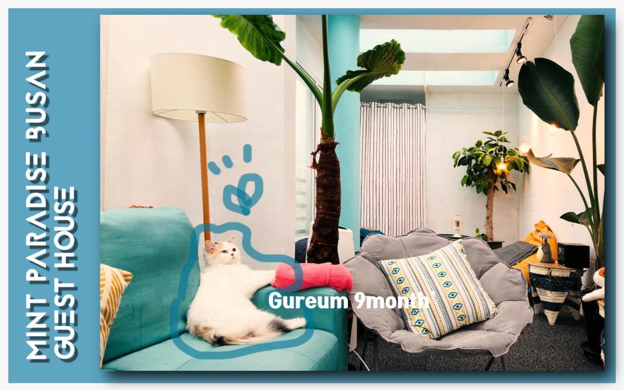 Mint Paradise Ciudad Metropolitana de Busan Exterior foto
